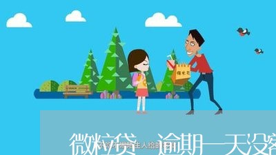 微粒贷 逾期一天没额度 微粒贷 逾期一天没额度